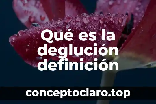 Qué es la deglución definición