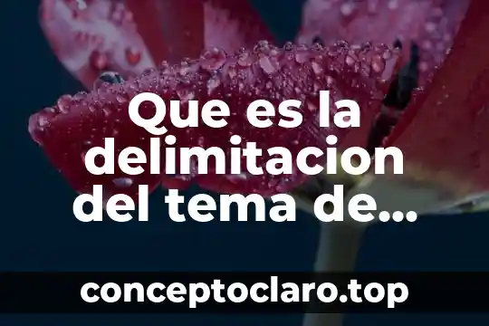 Que es la delimitacion del tema de una investigacion