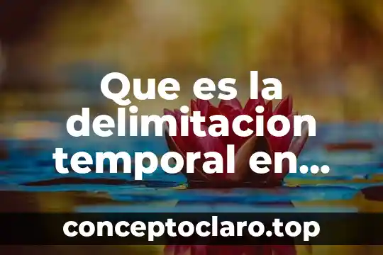 Que es la delimitacion temporal en una investigacion redalyc