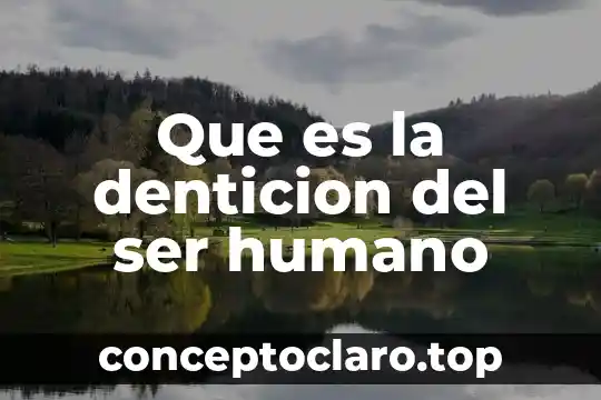 Que es la denticion del ser humano