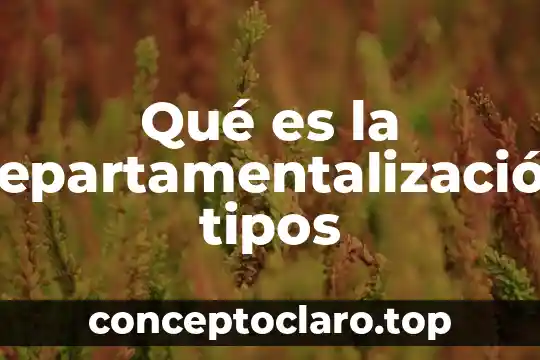 Qué es la departamentalización tipos