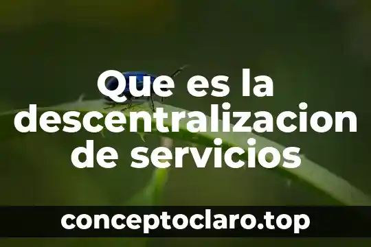 Que es la descentralizacion de servicios