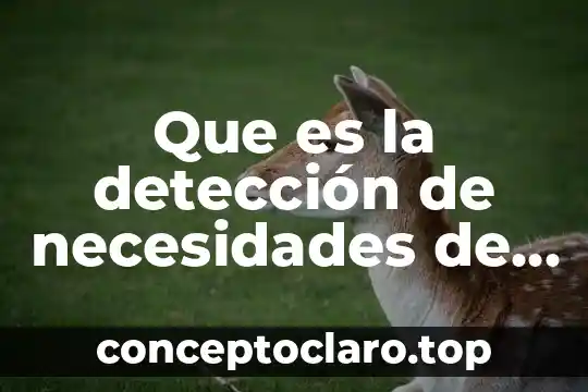 Que es metodos de capacitacion 7 Que es la detección de necesidades de capacitación y desarrollo