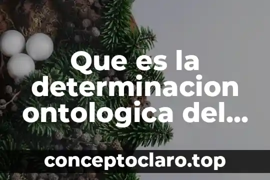 Que es la determinacion ontologica del ser en el mundo