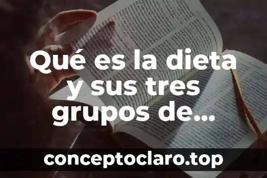 Qué es la dieta y sus tres grupos de alimentos