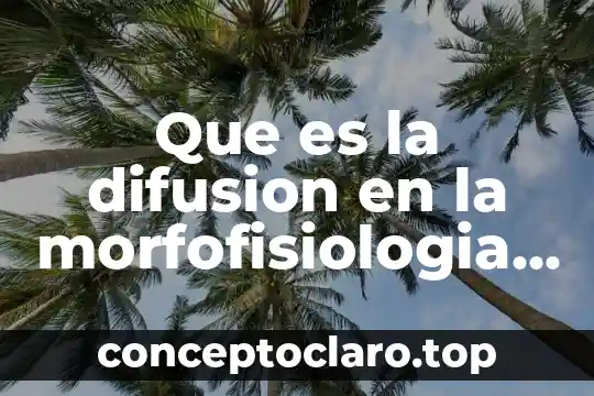Que es la difusion en la morfofisiologia mapa mental