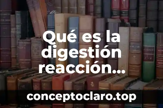Qué es la digestión reacción química