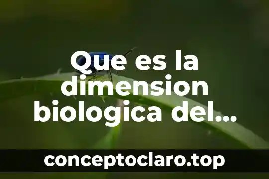 Que es la dimension biologica del ser humano yahoo