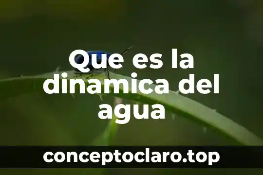Captacion de agua que es 3 Que es la dinamica del agua