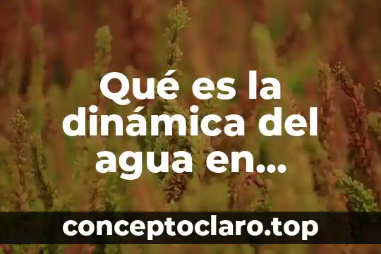 Qué es la dinámica del agua en instalaciones