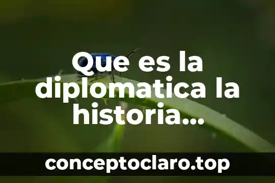 Que es la diplomatica la historia definicion abc