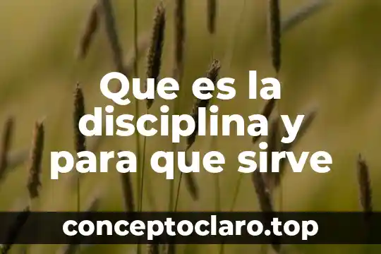 Que es un tinaco para que sirve y su funcionalidad 3 Que es la disciplina y para que sirve