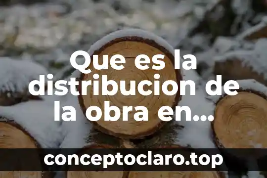 Que es la distribucion de la obra en arquitectura
