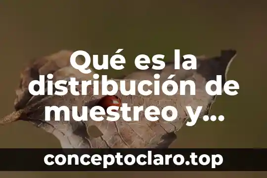 Distribución de planta que es 4 Qué es la distribución de muestreo y ejemplos