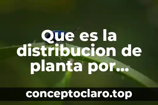 Que es la distribucion de planta por almacenes