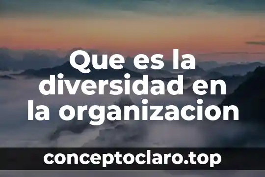 Que es un gasto de organizacion 4 Que es la diversidad en la organizacion