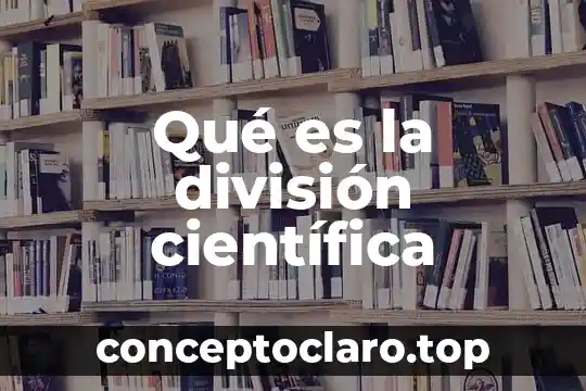 En control que es planta 7 Qué es la división científica