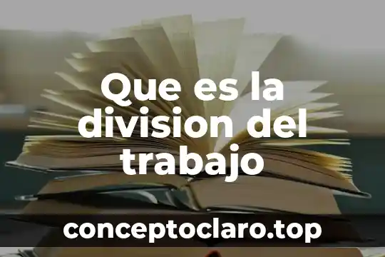 Que es la division del trabajo