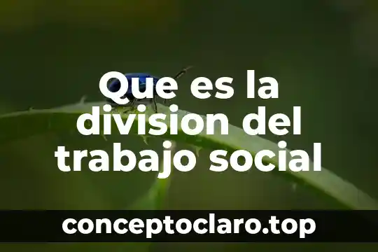Que es proyecto de trabajo filosofia 3 Que es la division del trabajo social