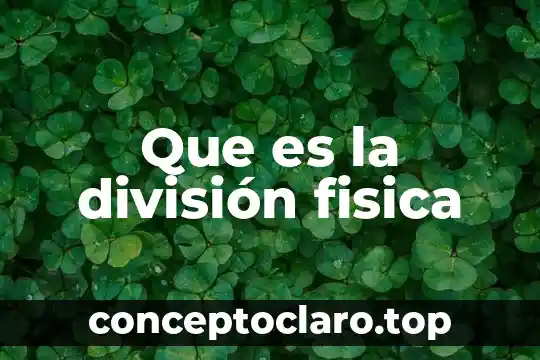 Que es la división fisica