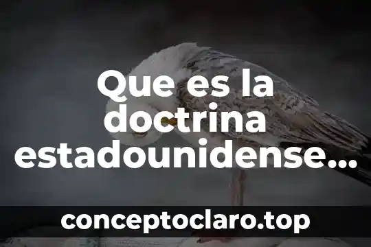Legislación que es el derecho 8 Que es la doctrina estadounidense como fuente del derecho