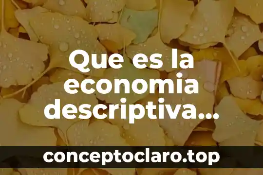 Qué es la esencia de una persona ejemplos 5 Que es la economia descriptiva ejemplos
