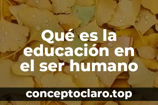 Qué es la educación en el ser humano