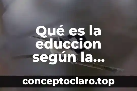 Qué es la educcion según la sociología