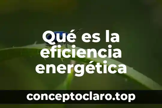 Qué es la eficiencia energética