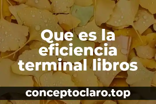 Que es la eficiencia terminal libros