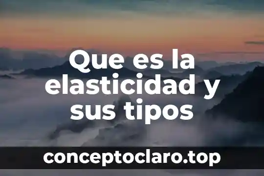 Que es la elasticidad y sus tipos