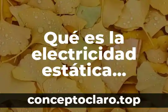 Principios científicos que es 3 Qué es la electricidad estática principios