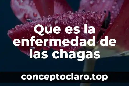 Que es el cuadrado como figura geometrica 6 Que es la enfermedad de las chagas