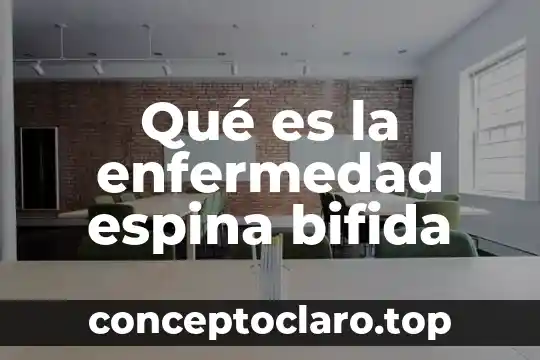 Qué es la enfermedad espina bifida