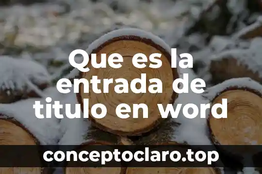 Qué es animación de entrada y salida 4 Que es la entrada de titulo en word