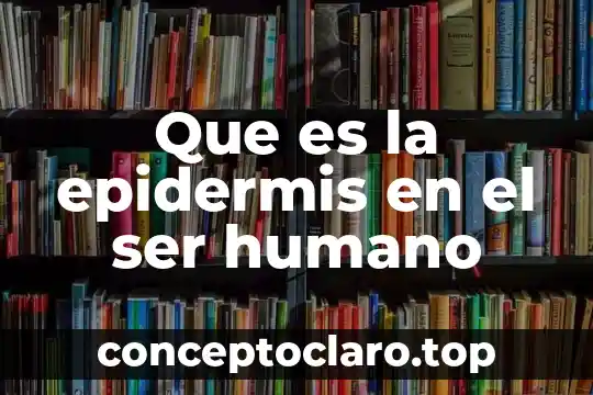 Que es la epidermis en el ser humano