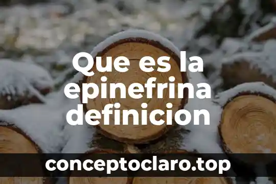 Que es un bosque definicion 3 Que es la epinefrina definicion