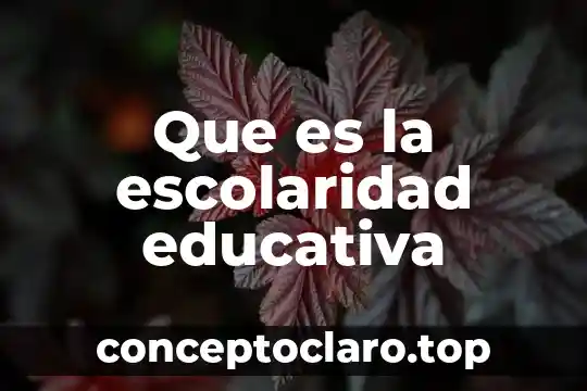 Que es instruccion afectiva educativa 8 Que es la escolaridad educativa