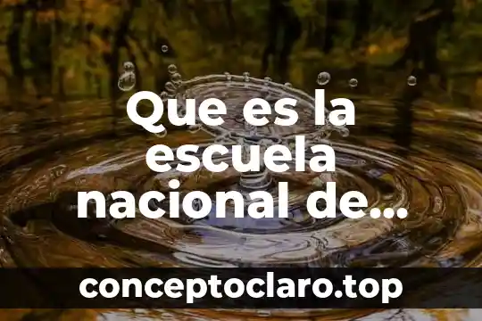 Agricultura Nidia Edith que es 3 Que es la escuela nacional de agricultura