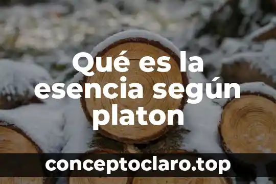 Qué es la esencia según platon