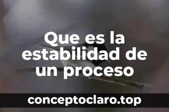 Que es la estabilidad de un proceso