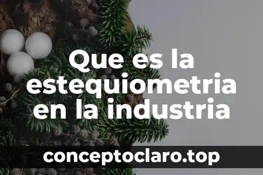 Por que es que se cataloga una industria minera 7 Que es la estequiometria en la industria