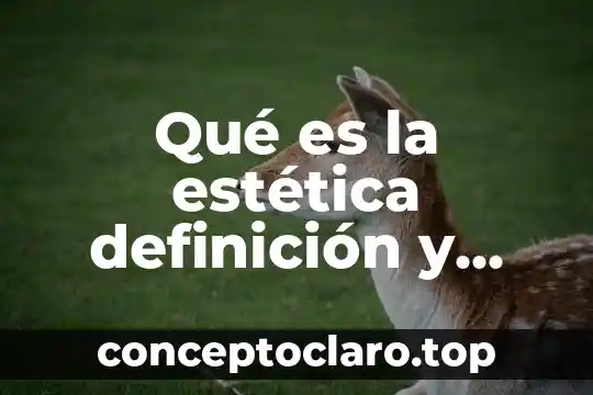 Definicion que es concepto o significado de la palabra arcoiris 8 Qué es la estética definición y concepto