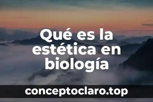 Qué es la estética en biología