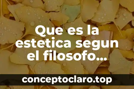 Que es la estetica segun el filosofo schindler