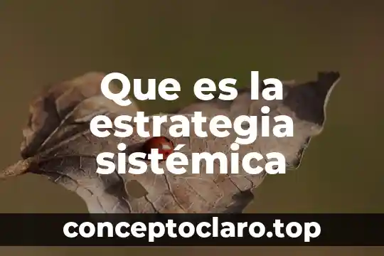 Que es la estrategia del oceano azul resumen 8 Que es la estrategia sistémica
