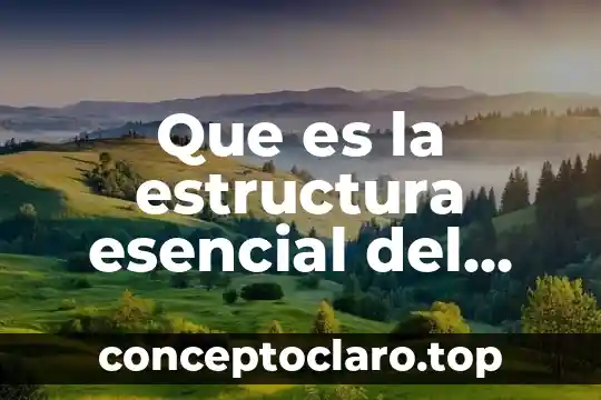 Hombre que solía estar casado con una mujer que es 8 Que es la estructura esencial del hombre