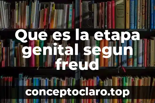 Que es la etapa genital segun freud