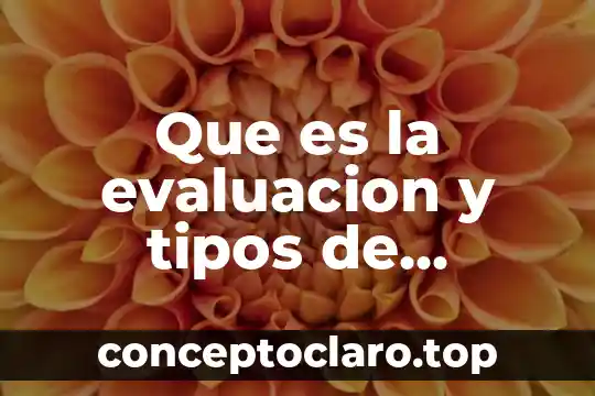 Qué es la prensión tipos 3 Que es la evaluacion y tipos de evaluacion