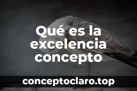 Qué es la excelencia concepto